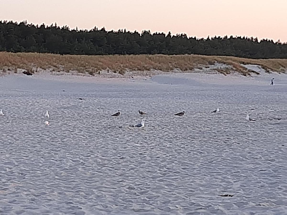 Magico Posto Villa Wierzchucino Dış mekan fotoğraf