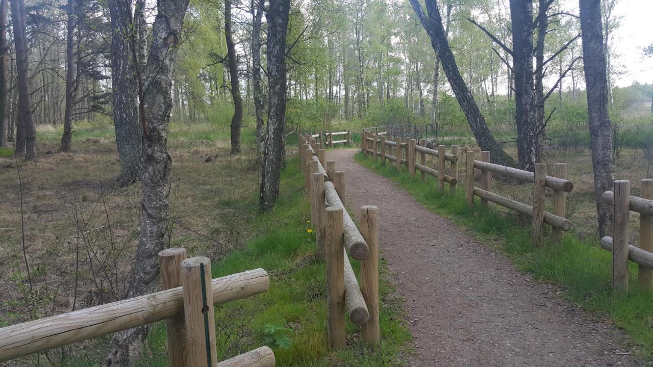Magico Posto Villa Wierzchucino Dış mekan fotoğraf
